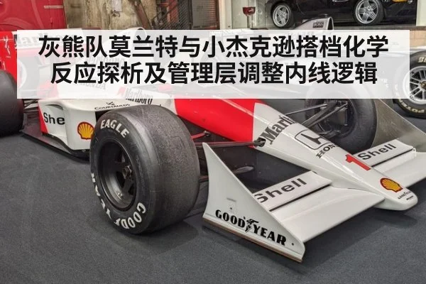 灰熊队莫兰特与小杰克逊搭档化学反应探析及管理层调整内线逻辑